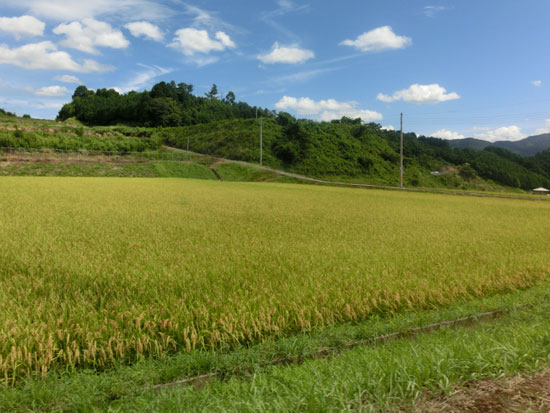 a0051849_9325453.jpg