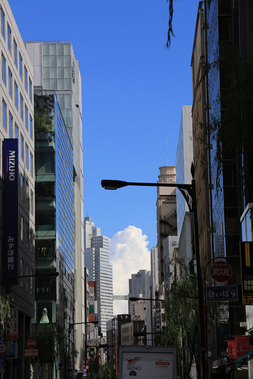 b0049152_17292460.jpg