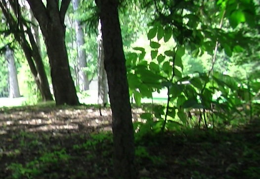 a0193457_20461723.jpg