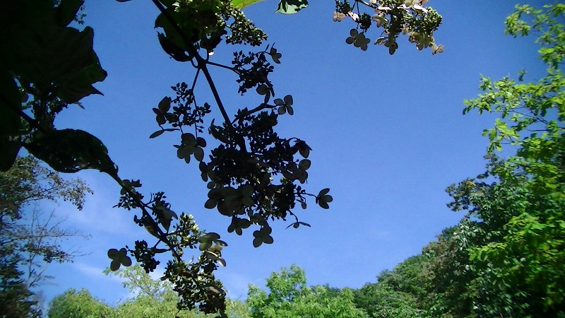 a0193457_2046928.jpg