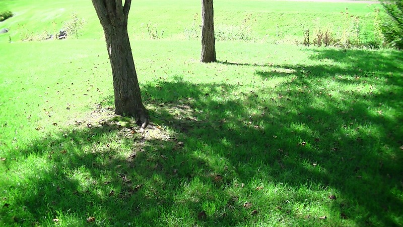 a0193457_2047219.jpg