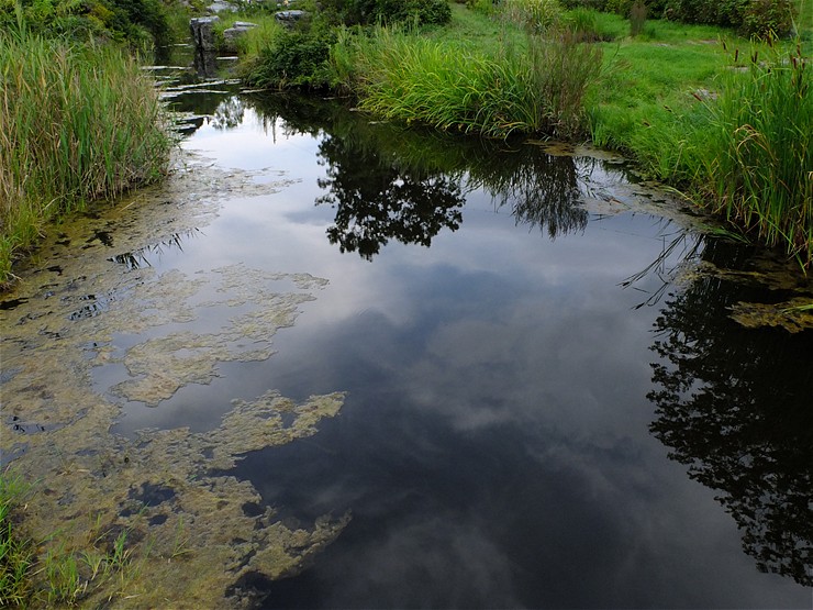 f0222161_1434483.jpg