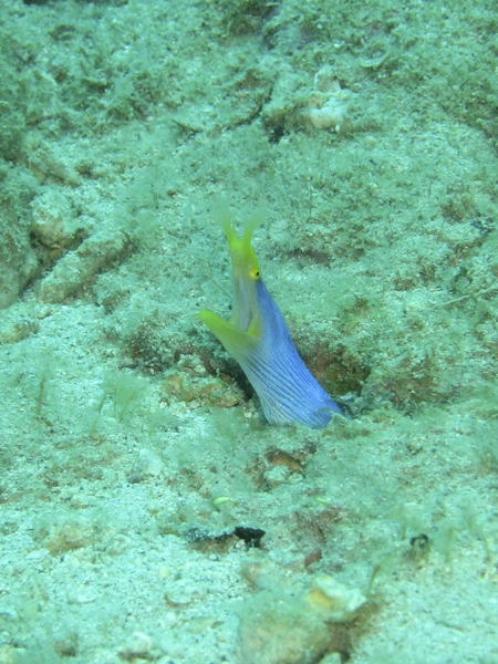 b0062363_22113710.jpg