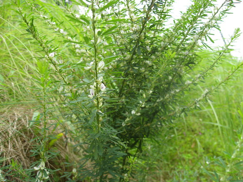 b0267163_21401455.jpg