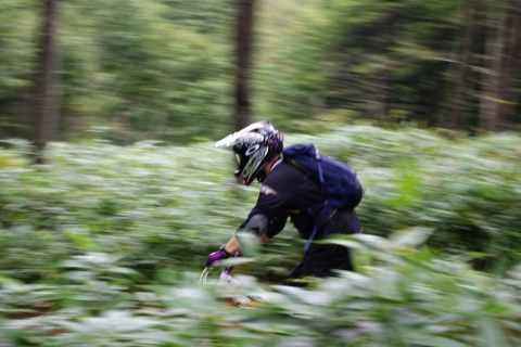 e0045768_2262975.jpg