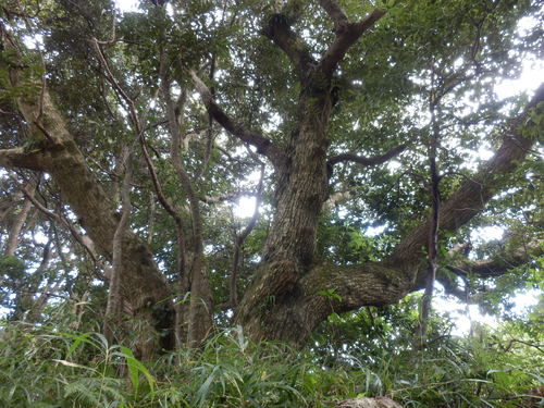 e0292172_20484434.jpg