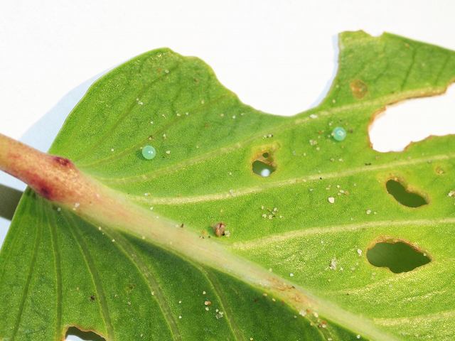 b0135573_22243282.jpg