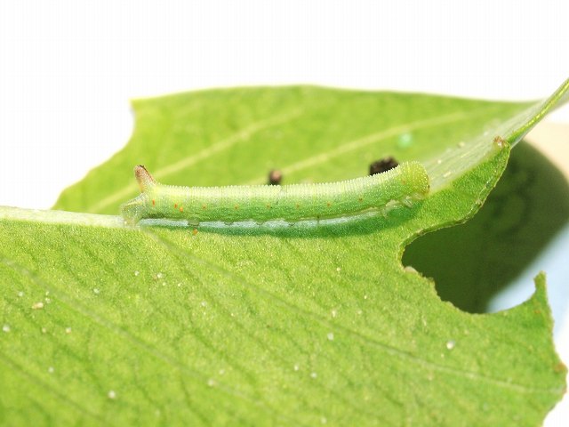 b0135573_22244544.jpg