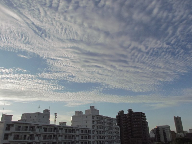 c0183777_18142924.jpg