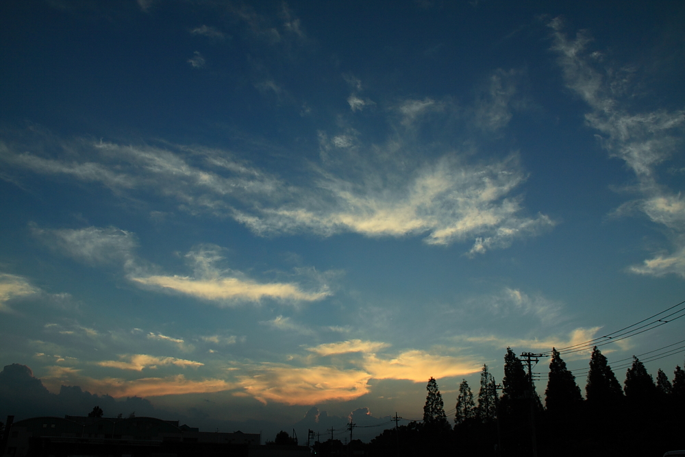 e0249878_162353.jpg