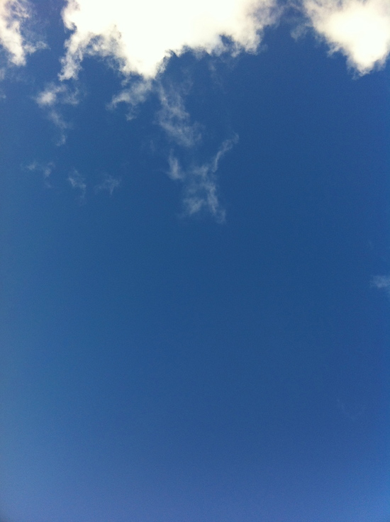 f0026281_14371376.jpg