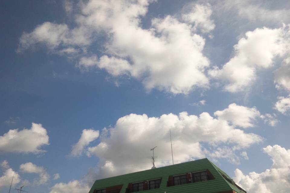b0204586_16134046.jpg