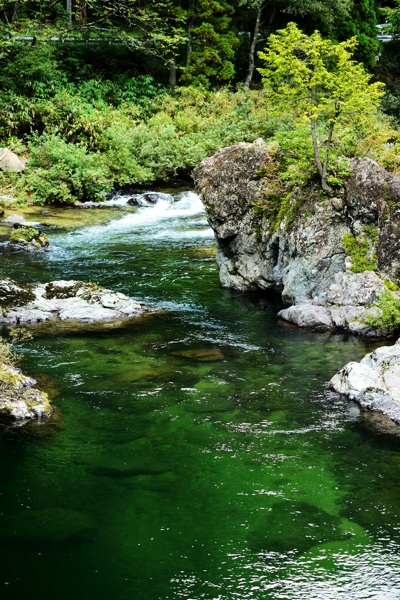 f0103688_21452995.jpg