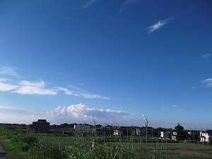 f0235289_830169.jpg