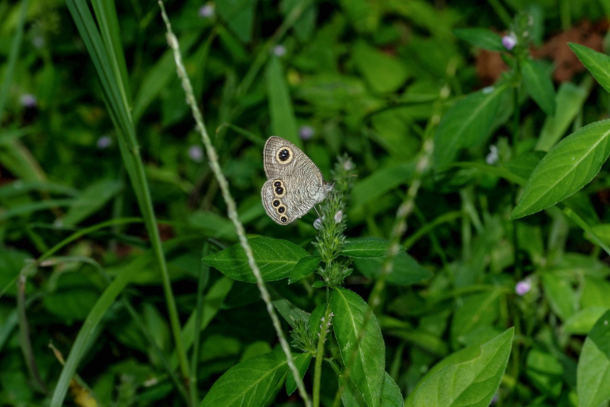 b0194593_92125100.jpg