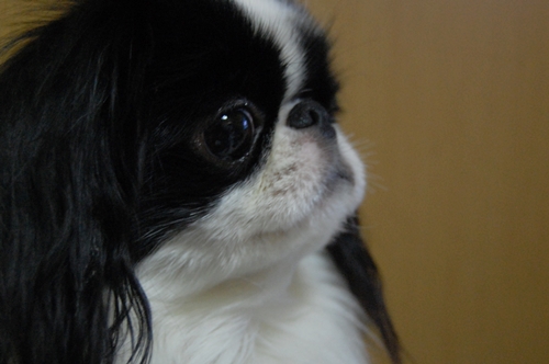 a0155999_025738.jpg
