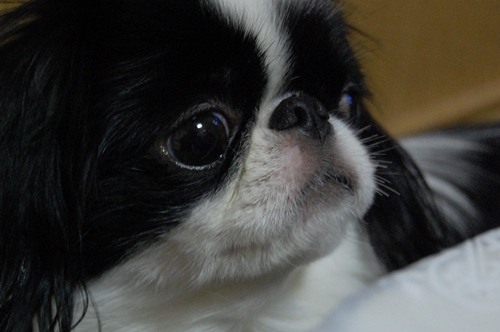 a0155999_031411.jpg