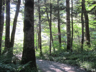 b0232400_1155675.jpg