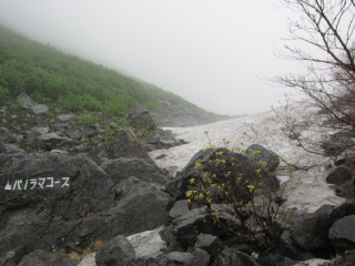 b0232400_1157372.jpg