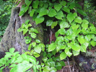 b0232400_11581538.jpg