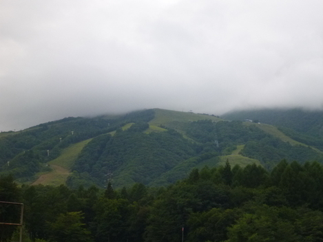 b0164002_2337509.jpg