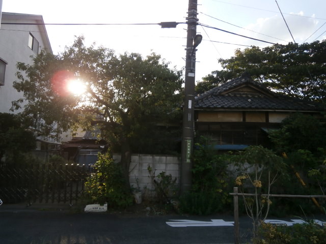 a0214329_1818822.jpg