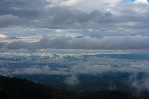 e0025030_8175144.jpg