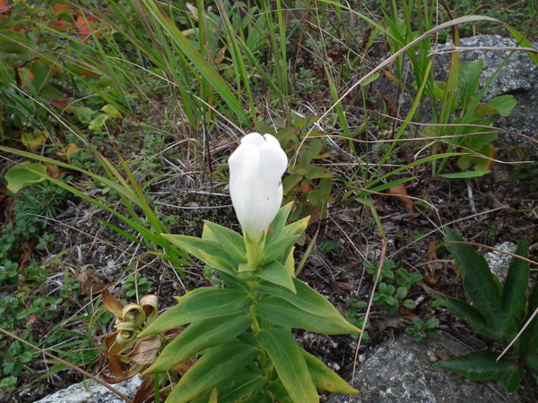 f0118332_2056164.jpg