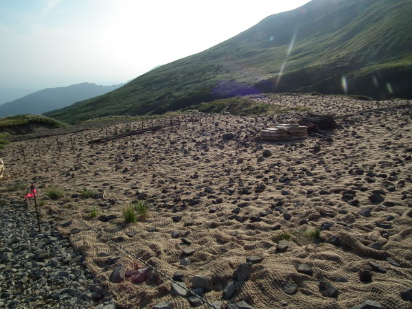 f0118332_2112185.jpg