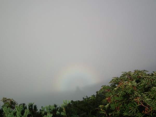 f0118332_2154212.jpg