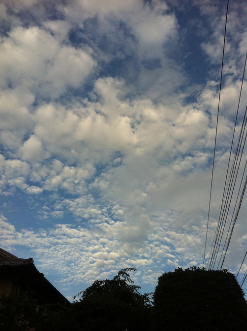 d0013834_13144966.jpg