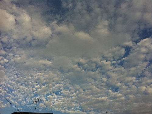 d0013834_13145947.jpg