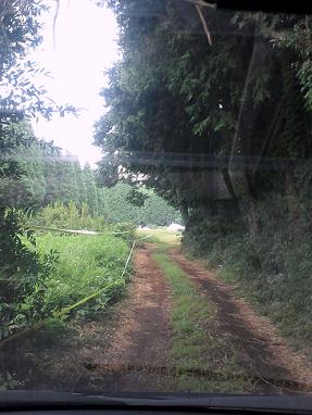 b0194236_1713138.jpg