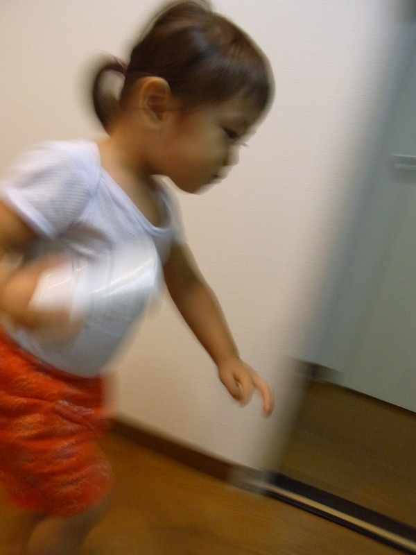 a0175545_1654174.jpg