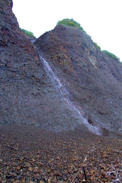 e0290546_10595097.jpg