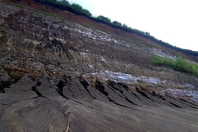 e0290546_110478.jpg