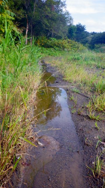 e0290546_13573987.jpg