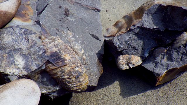e0290546_1357567.jpg