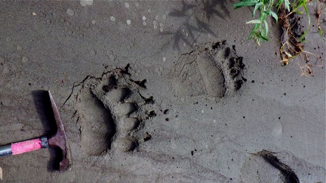 e0290546_1358828.jpg