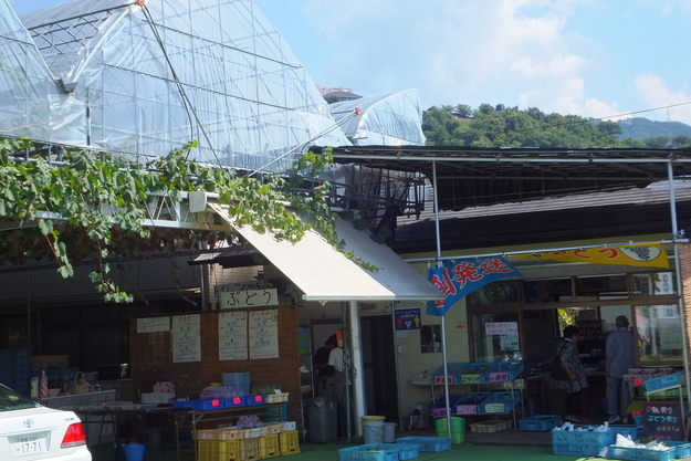 b0177649_2314583.jpg
