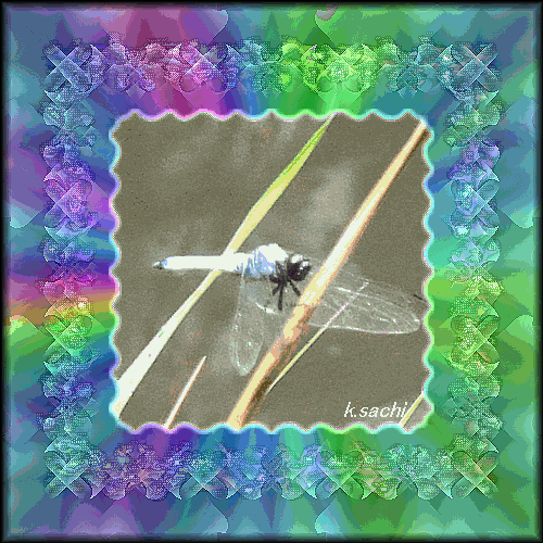 b0133752_11203185.gif