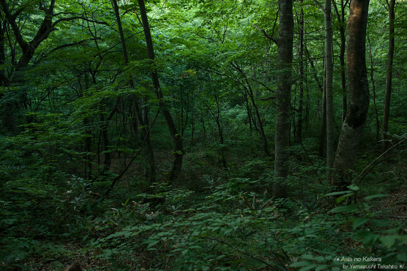 d0080957_21572128.jpg