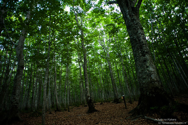 d0080957_21573077.jpg