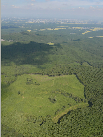 e0009760_6464770.jpg