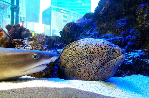 e0172160_0291941.jpg