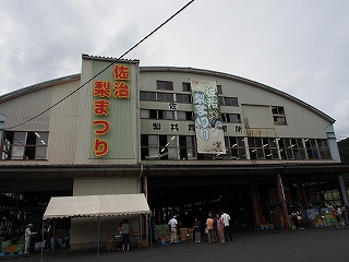 d0128465_8374373.jpg