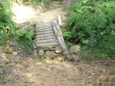 e0175370_1710078.jpg