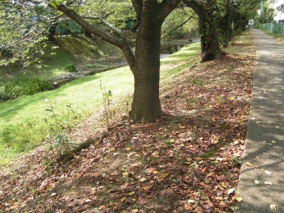 c0112172_12365.jpg