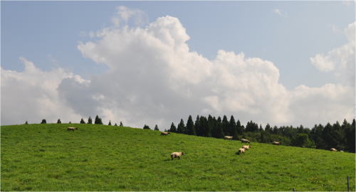 f0168873_17383241.jpg
