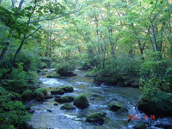 a0188775_11325114.jpg